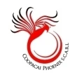 VACANCIES - COOPACAI PHOENIX SCARL